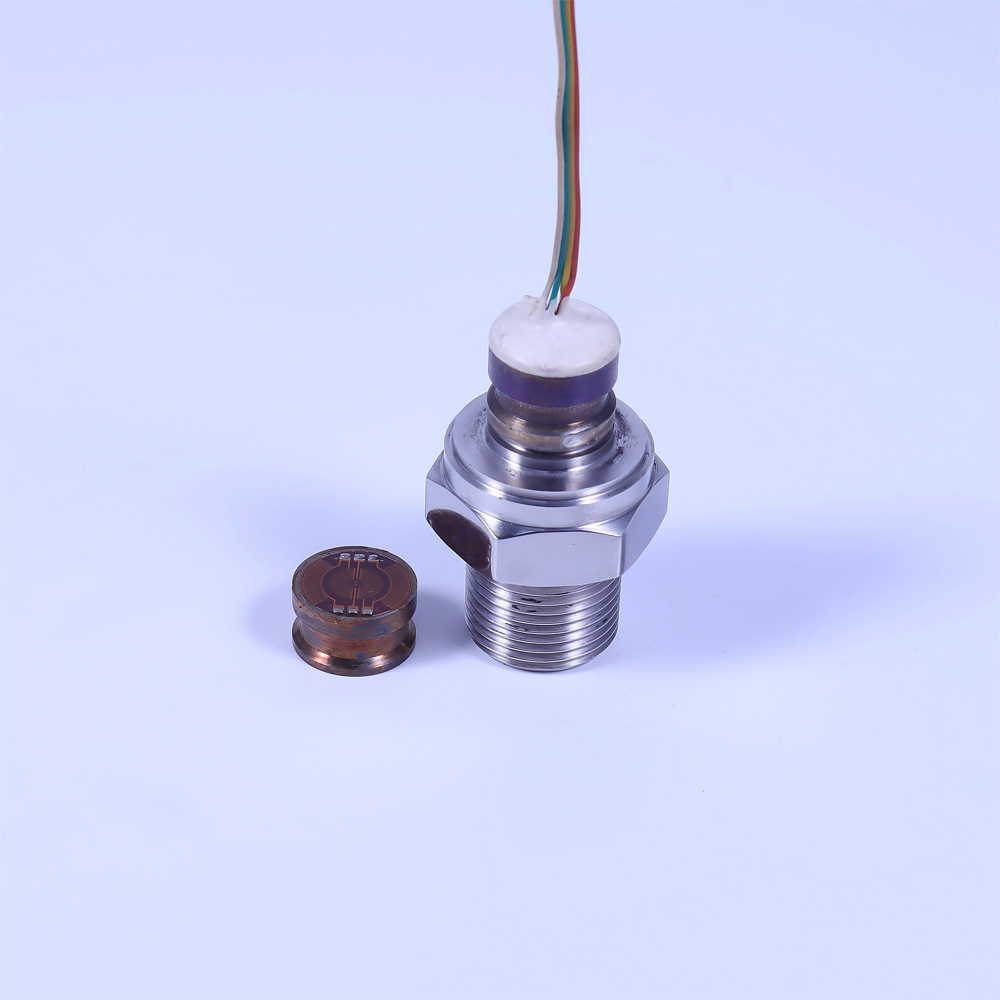 应变式压力芯体 PT500-301