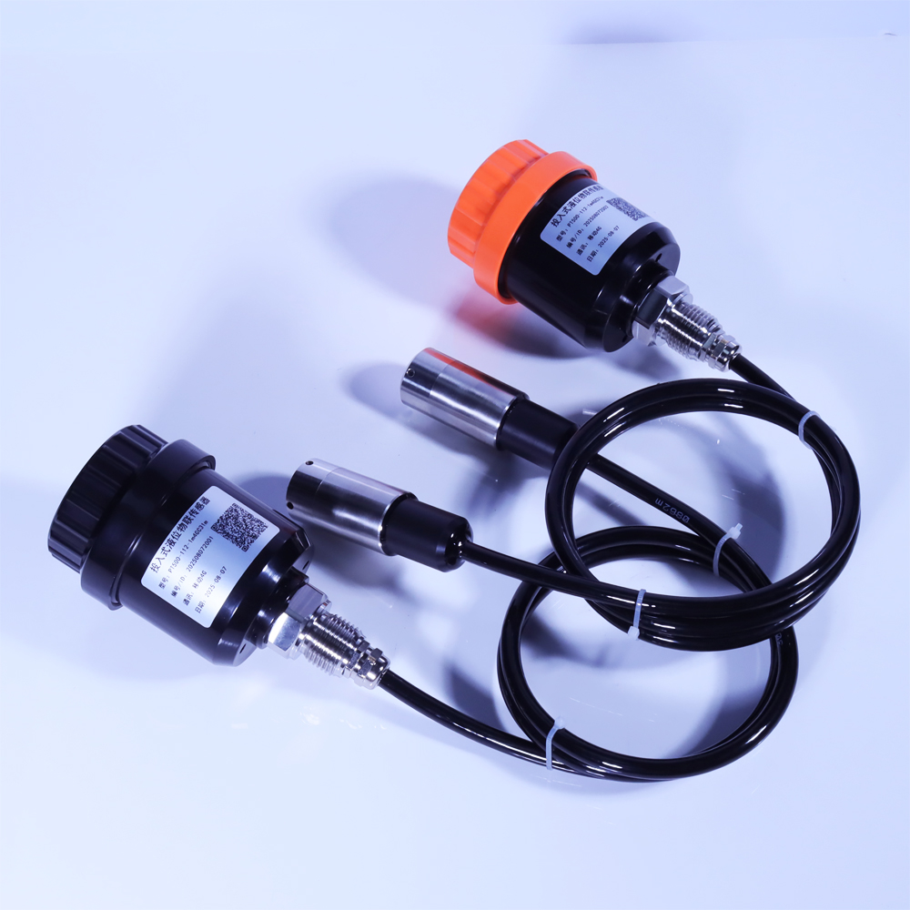 投入式液位物联传感器 PT500-112